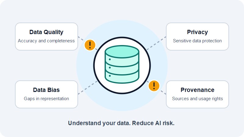 Central database connected to data quality, privacy, bias, and provenance, with warning markers highlighting AI data risks.
